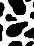 pic for Cow Pattern